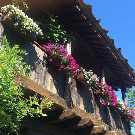 Stefanina Guesthouse بوجينتسي المظهر الخارجي الصورة