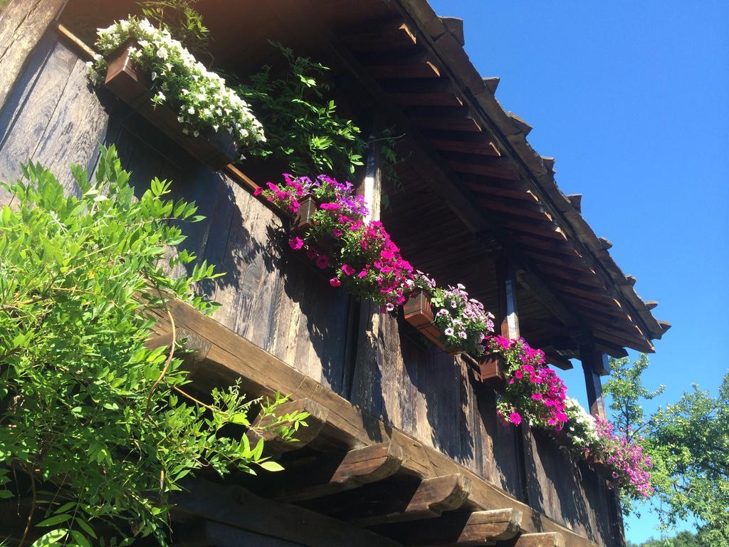Stefanina Guesthouse بوجينتسي المظهر الخارجي الصورة