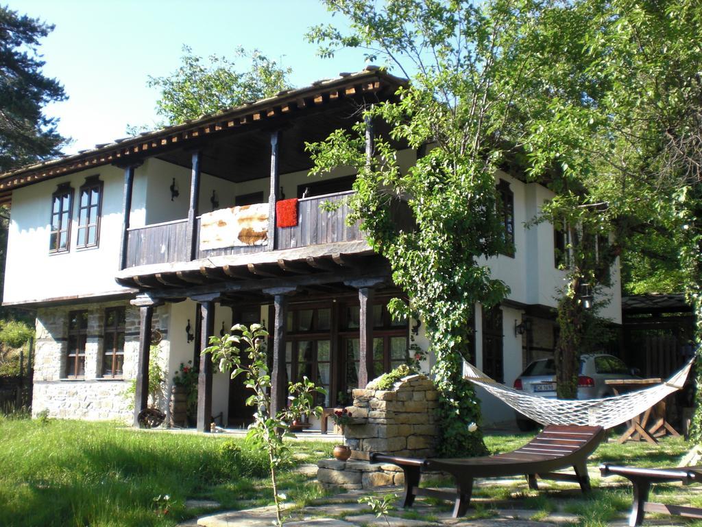 Stefanina Guesthouse بوجينتسي المظهر الخارجي الصورة