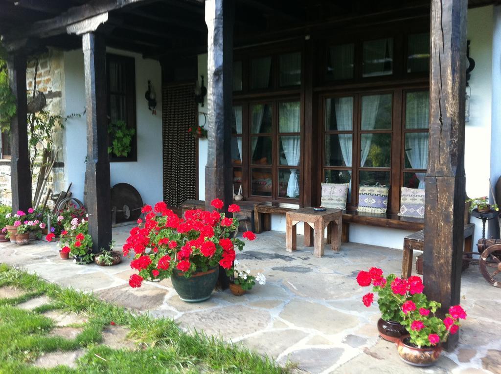 Stefanina Guesthouse بوجينتسي المظهر الخارجي الصورة