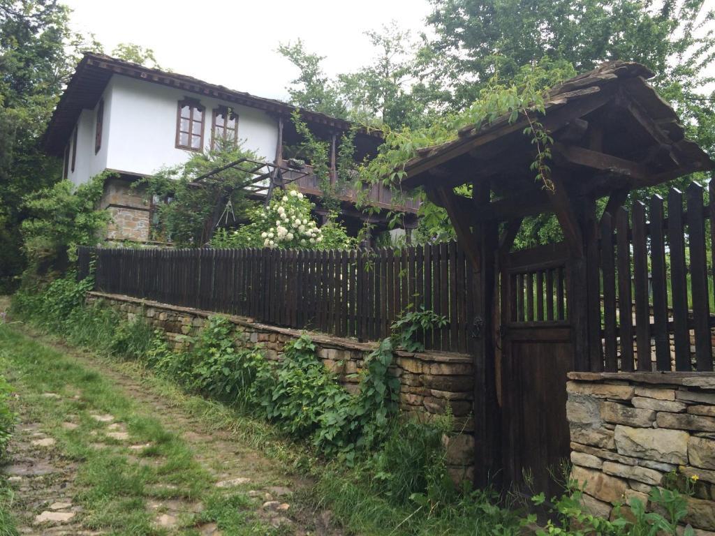 Stefanina Guesthouse بوجينتسي المظهر الخارجي الصورة