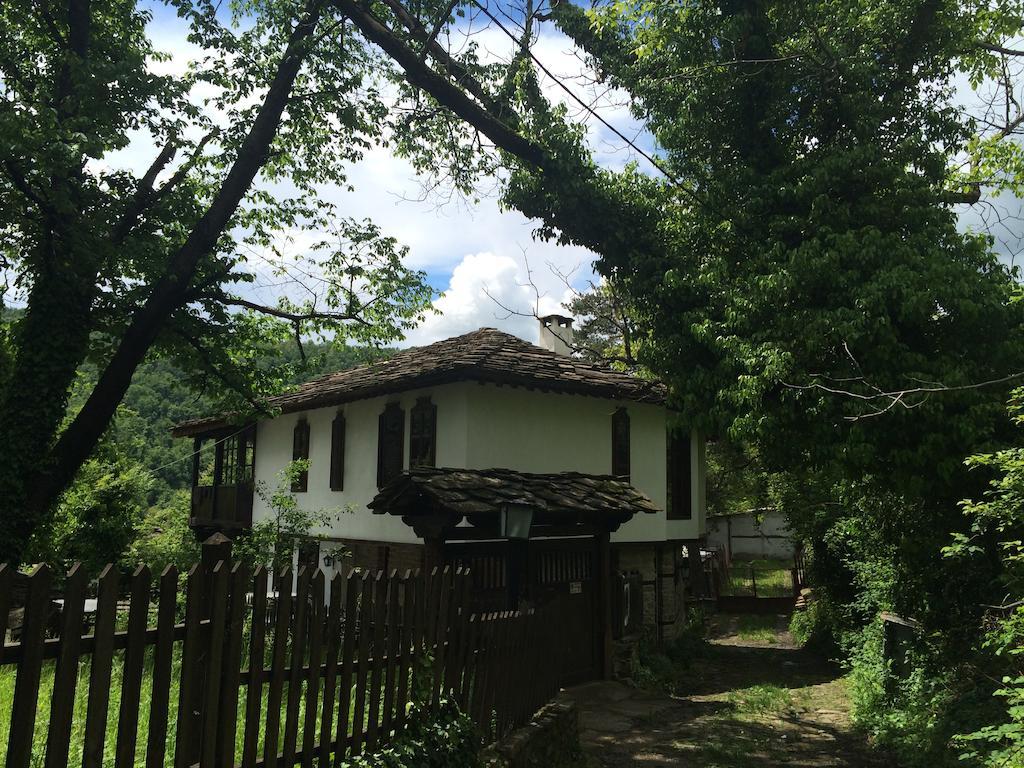Stefanina Guesthouse بوجينتسي المظهر الخارجي الصورة